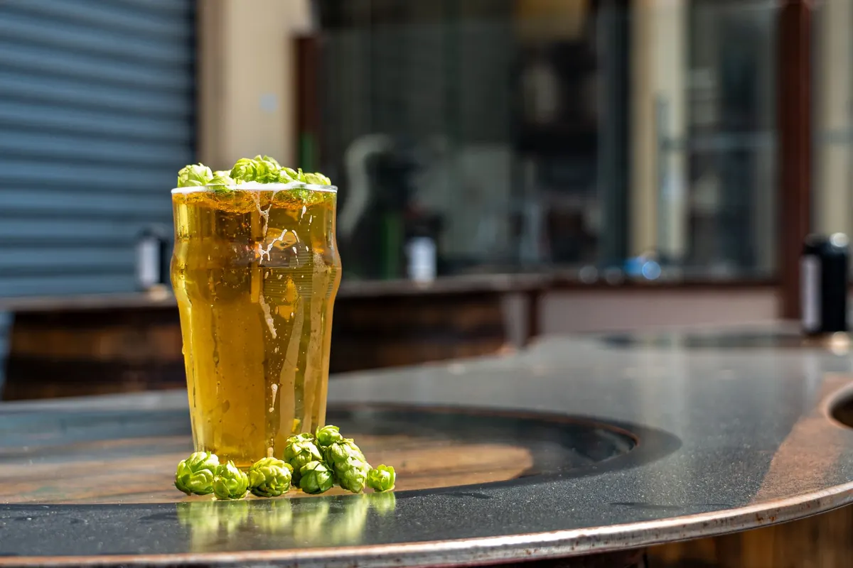 Somerset Village Pubs with Gardens: A Family-Friendly Comparison